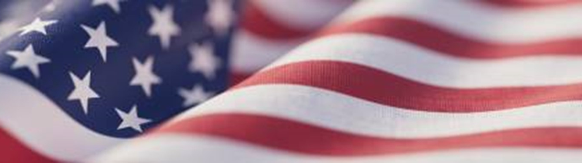 A Fourth of July Turner Group. USA flag 