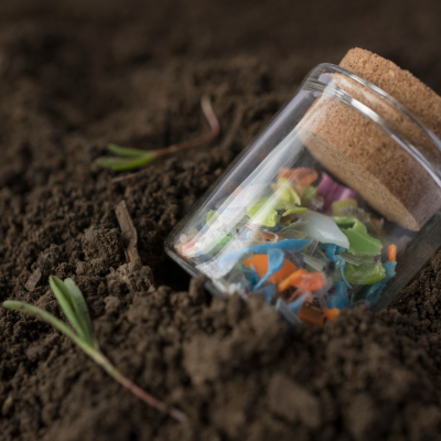 Choosing Reusable Water Bottles Over Single-Use Plastics